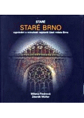 kniha Staré Staré Brno, EXPO DATA 2013