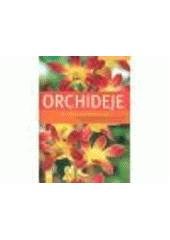 kniha Orchideje [krok za krokem k exotické nádheře], Vašut 2007