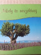 kniha Nikdy to nevzdávej, Doron 2012