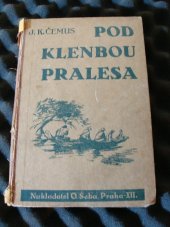 kniha Pod klenbou pralesa pouť českého hocha Jižní Amerikou : dobrodružný román pro mládež, O. Šeba 1941