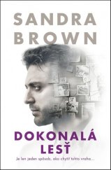 kniha Dokonalá lesť Je len jeden spôsob, ako chytiť tohto vraha..., Slovenský spisovateľ 2020