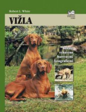 kniha Vižla, Fortuna Libri 2009