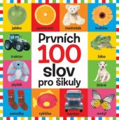 kniha Prvních 100 slov pro šikuly, Svojtka 2021