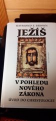 kniha Ježíš v pohledu Nového zákona úvod do christologie, Vyšehrad 1998