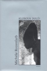 kniha Klobouk dolů!, Havran 2005