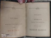 kniha Dagmar báseň Svatopluka Čecha, František Šimáček 1885