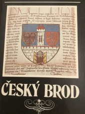 kniha Český Brod stručné dějiny, umělecké památky, pamětihodnosti na Českobrodsku, Interes 1992