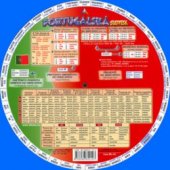 kniha Portugalská slovesa, AllMax 