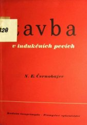 kniha Tavba v indukčních pecích určeno inženýrům, technikům, mistrům a technologům, SNTL 1953