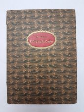 kniha Z Prahy do Tater, A. Storch syn 1903
