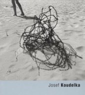 kniha Josef Koudelka, Torst 2010