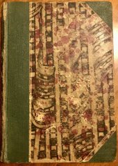 kniha Černá kočka Detektivní román, Rudolf Šimek 1928