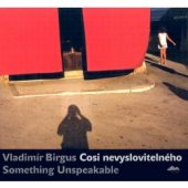 kniha Vladimír Birgus cosi nevyslovitelného = something unspeakable, Slezská univerzita 2004