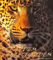 kniha Jaké je to být gepardem a leopardem, Cupro 2006