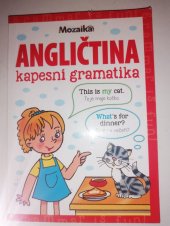 kniha Angličtina  Kapesní gramatika, Mozaika  2020