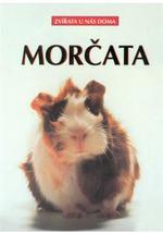 kniha Morčata, Cesty 1999