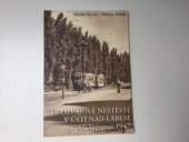 kniha Tramvajové neštěstí v Ústí nad Labem 13. července 1947, Město Ústí nad Labem 2007