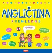 kniha Angličtina přehledně, INFOA 2025