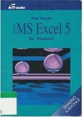 kniha MS Excel 5 for Windows, Grada 1994