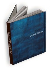 kniha Josef Žáček, Galerie Aspekt 2010