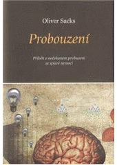 kniha Probouzení příběh o nečekaném probuzení ze spavé nemoci, Dybbuk 2010