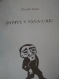 kniha Pobyt v sanatoriu verše z let 1974-1987, Výtvarná společnost Kruh 1993