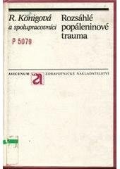 kniha Rozsáhlé popáleninové trauma, Avicenum 1990