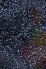 kniha Hlinený zošit, Skalná ruža 2025