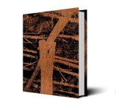 kniha Dřevo!, Pro Premium Media Group, a.s. 2022