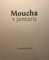 kniha Moucha v jantaru, Aleš Palán 2025