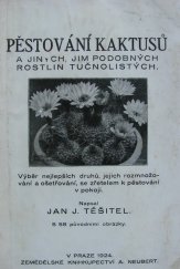 kniha Pěstování kaktusů a jiných, jim podobných rostlin tučnolistých Výběr nejlepš. druhů, jejich rozmnož. a ošetř. se zřet. k pěstování v pokoji, Alois Neubert 1924