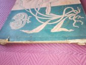 kniha Ansichten Album Wien, C.Schneider Verlagsanstalt, Berlin, N.W. Siegmundshof 3 1900