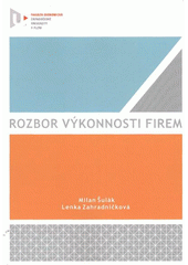 kniha Rozbor výkonnosti firem, Západočeská univerzita v Plzni 2012