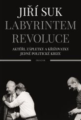 kniha Labyrintem revoluce Aktéři, zápletky a křižovatky jedné politické krize, Prostor 2020