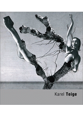 kniha Karel Teige, Torst 2001