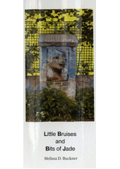 kniha Little bruises and bits of jade, Machart 2003