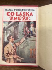kniha Co láska zmůže Román, Rodina 1929