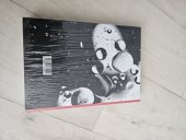 kniha Kvasná a potravinářská technologie  Technologie , SPN Praha  2022