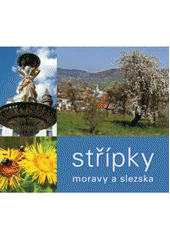 kniha Střípky Moravy a Slezska, Repronis 2007