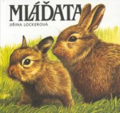 kniha Mláďata, Fragment 