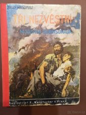 kniha Tři nezvěstní moderní robinsonáda, Eduard Weinfurter 1935