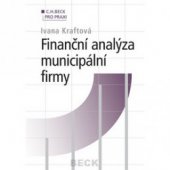 kniha Finanční analýza municipální firmy, C. H. Beck 2002