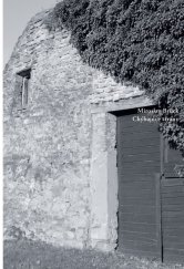 kniha Chýbajúce strany, Skalná ruža 2017