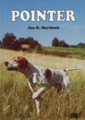 kniha Pointer, Plot 2000