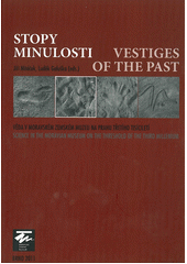 kniha Stopy minulosti věda v Moravském zemském muzeu na prahu třetího tisíciletí = Vestiges of the past : science in The Moravian Museum on the threshold of the third millenium, Moravské zemské museum 2011