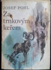 kniha Za trnkovým keřem, Středočeské nakladatelství a knihkupectví 1985