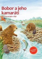 kniha Bobor a jeho kamaráti Ako vyrastajú a žijú, Bookmedia 2021