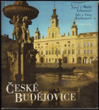 kniha České Budějovice [fot. publ.], Panorama 1980