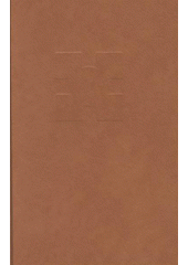 kniha Řehole a konstituce Kongregace milosrdných sester III. řádu sv. Františka z Assisi, Kongregace milosrdných sester III. řádu sv. Františka v Opavě 2009