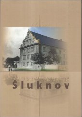 kniha Velká retrospektivní kniha o městě Šluknov, Pro Město Šluknov vydalo G2 studio 2009